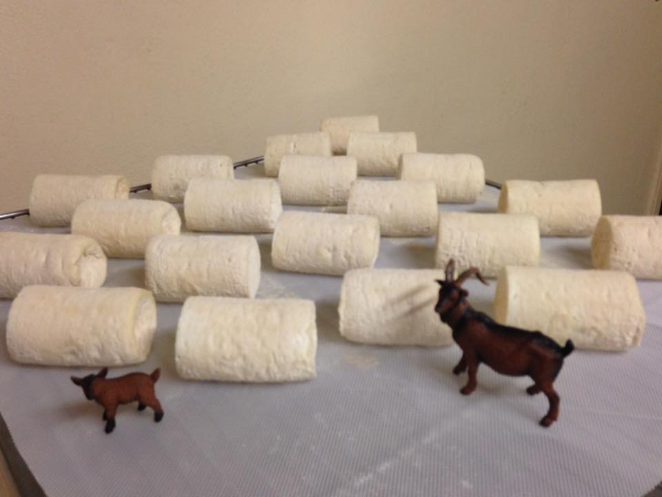 production de fromage de chèvre artisanale Montbéliard